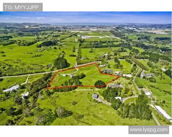 探索HongQ的创新之路与未来发展潜力分析