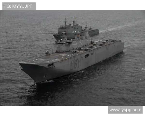 WRLMeiko抗伤能力解析及其在战斗中的战略应用探讨